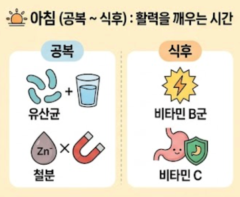 함께 먹으면 독이 되는 영양제 조합 & 시간대별 올바른 섭취 순서 사진 3